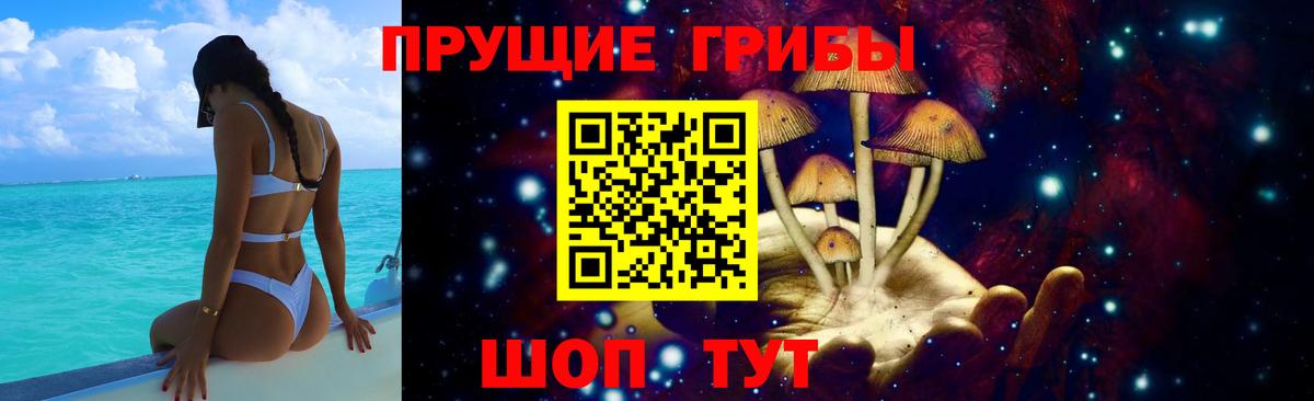 Будённовск  Псилоцибиновые грибы Psilocybe  Вход с VPN 